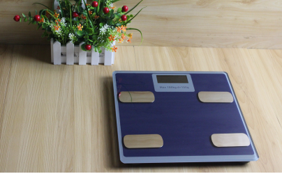 智能蓝牙脂肪称55元